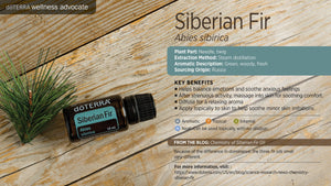 Siberian Fir