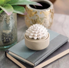 Load image into Gallery viewer, Succulent Porcelain Diffuser
